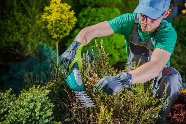 landscaping services Barnesville